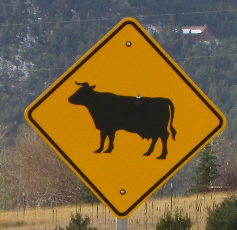Cow Sign