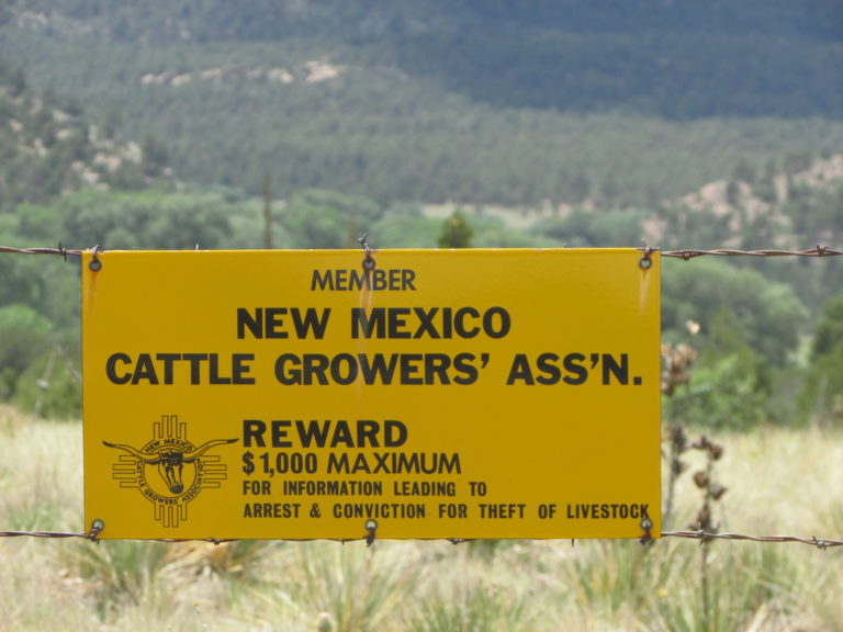 NM Cattle Association